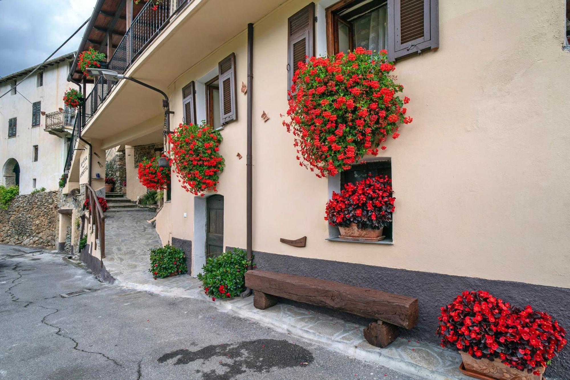 Agriturismo U' Spigu Nonna Annetta Nasino Exterior foto