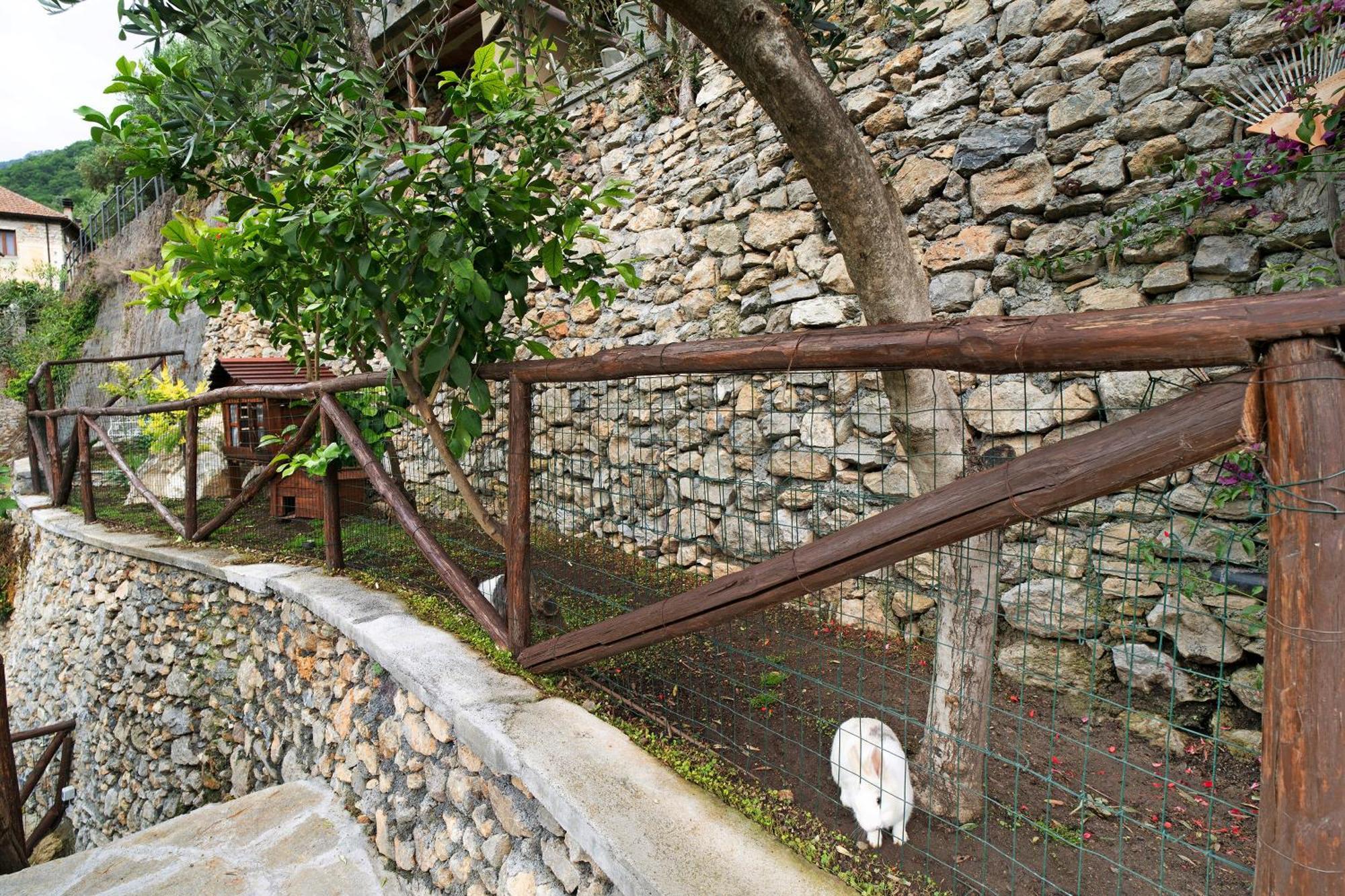 Agriturismo U' Spigu Nonna Annetta Nasino Exterior foto
